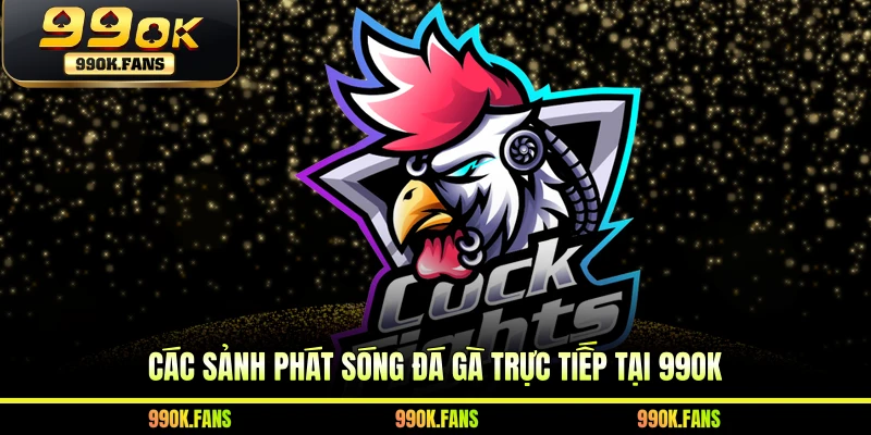 Các sảnh phát sóng đá gà trực tiếp tại 99OK